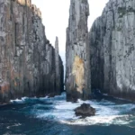Tasman Island Cruises 3 Hour Cruise
