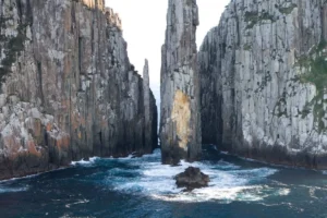 Read more about the article Tasman Island Cruises 3 Hour Cruise